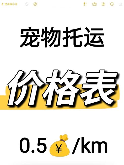 宠物网站字体设计,提升用户体验的隐形力量 神马SEO 宠物网站字体设计,提升用户体验的隐形力量 宠物网站字体设计,提升用户体验的隐形力量 神马SEO