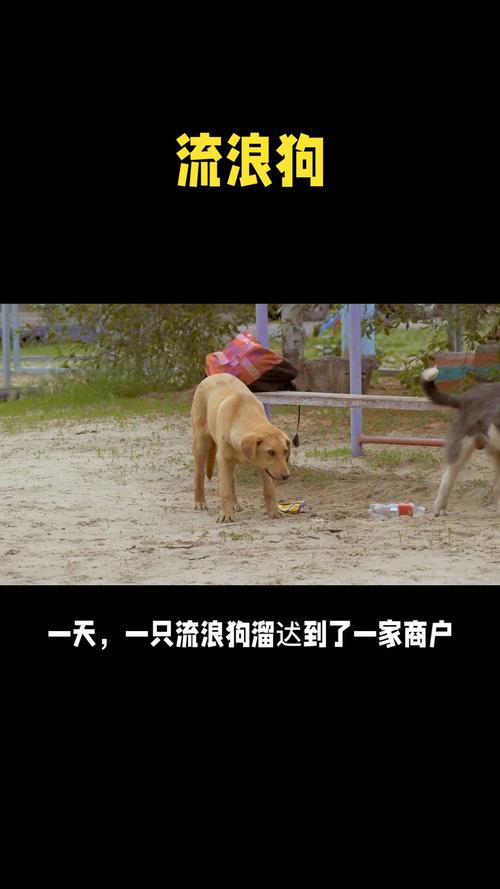 温情守护,宠物殡仪服务,为生命画上圆满句点 网站建设公司 温情守护,宠物殡仪服务,为生命画上圆满句点 温情守护,宠物殡仪服务,为生命画上圆满句点 网站建设公司