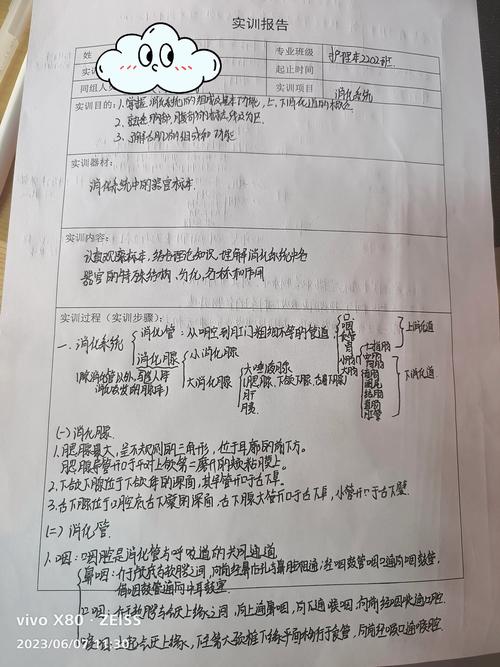 网站设计实训报告解读,从理论到方法的跨越 必应SEO 网站设计实训报告解读,从理论到方法的跨越 网站设计实训报告解读,从理论到方法的跨越 必应SEO