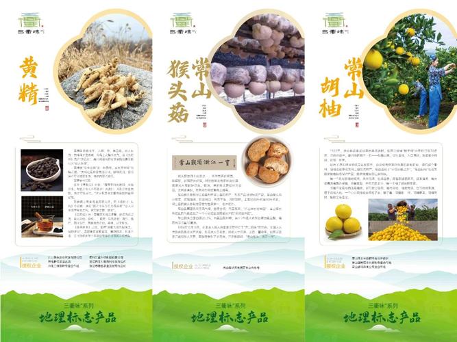 衢州营销网站设计,打造区域品牌新名片 网站建设公司 衢州营销网站设计,打造区域品牌新名片 衢州营销网站设计,打造区域品牌新名片 网站建设公司