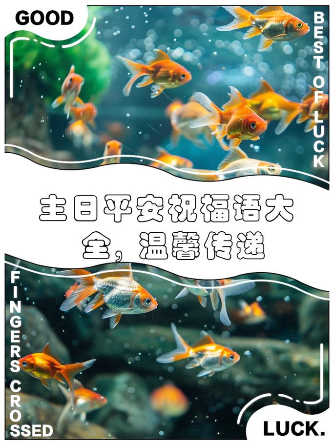 贺卡网站设计说明,匠心独运，传递温馨祝福的艺术之旅 贺卡网站设计说明,匠心独运，传递温馨祝福的艺术之旅 SEO关键词